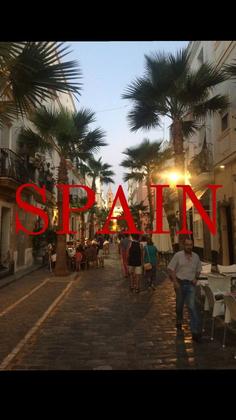 Spain - savaspin login Spain - savaspin login
